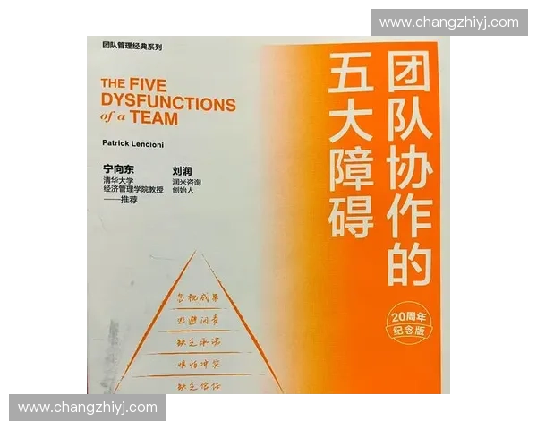 以关键战术执行为核心提升团队协作效率与决策速度的实践探索